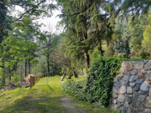 Collina di Torino - Splendida Villa di Charme con Dependance - 7