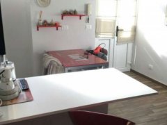 Turin Center. Two-room apartment - 5