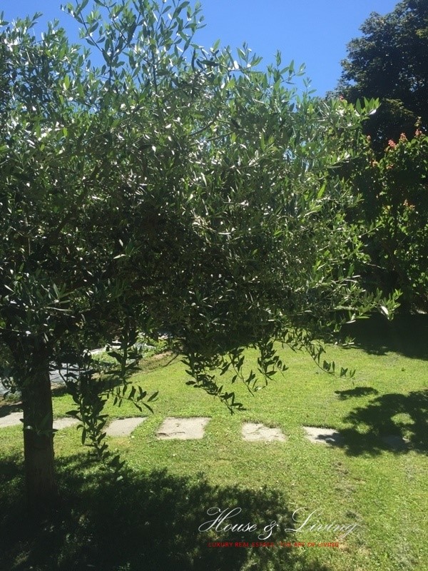 Villa PINO TORINESE vendita  Pino Torinese  House  and  Living