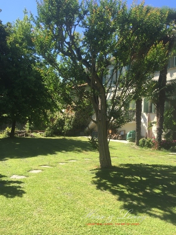 Villa PINO TORINESE vendita  Pino Torinese  House  and  Living